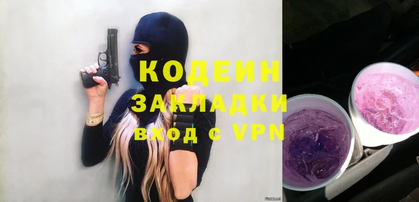 твердый Протвино