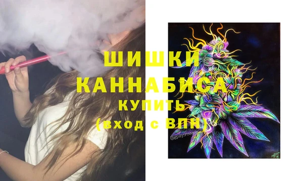 твердый Протвино