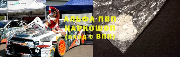 твердый Протвино