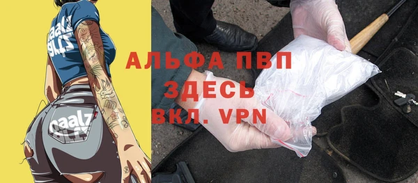 твердый Протвино