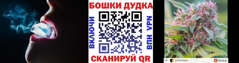 Конопля AK-47  Ессентукская 